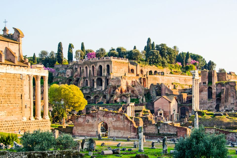 Rome: Colosseum, Roman Forum and Palatine Hill Guided Tour - Heat, bathroom breaks, and keeping your day on track