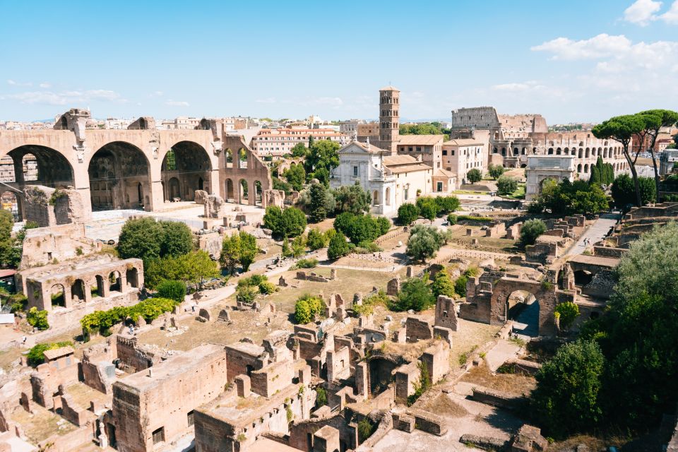 Rome: Colosseum, Roman Forum, and Palatine Hill Private Tour - Roman Forum in 45 minutes: public life made visible