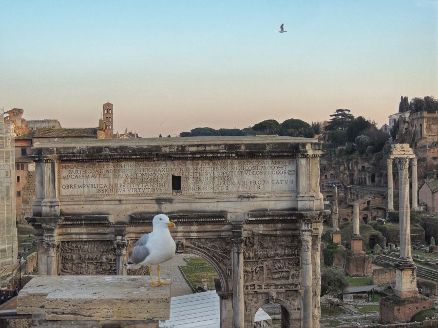 Rome: Colosseum with Arena Floor, Forum & Palatine Hill Tour - Roman Forum stop: walking the city’s political heart on Via Sacra