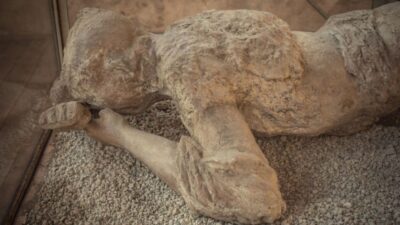 Rome: Pompeii Tour with Wine and Lunch by High Speed Train - Price and Value: What You’re Actually Paying For