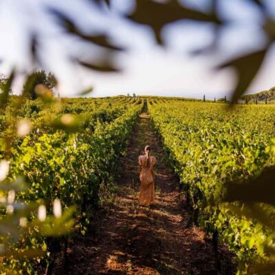 Rome: Private Castelli Romani Wine Tasting Tour - Frascati stop: photo time, cheese, and practical wine-country snacks