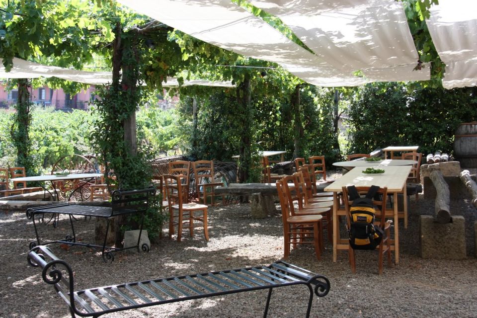 Rome: Private Castelli Romani Wine Tasting Tour - Price and value: why $99 can work better than you think