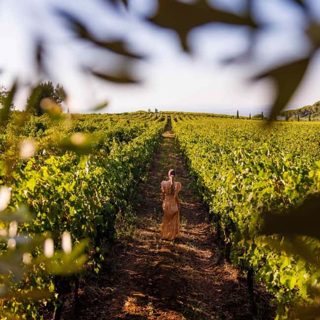 Rome: Private Castelli Romani Wine Tasting Tour - Frascati stop: photo time, cheese, and practical wine-country snacks